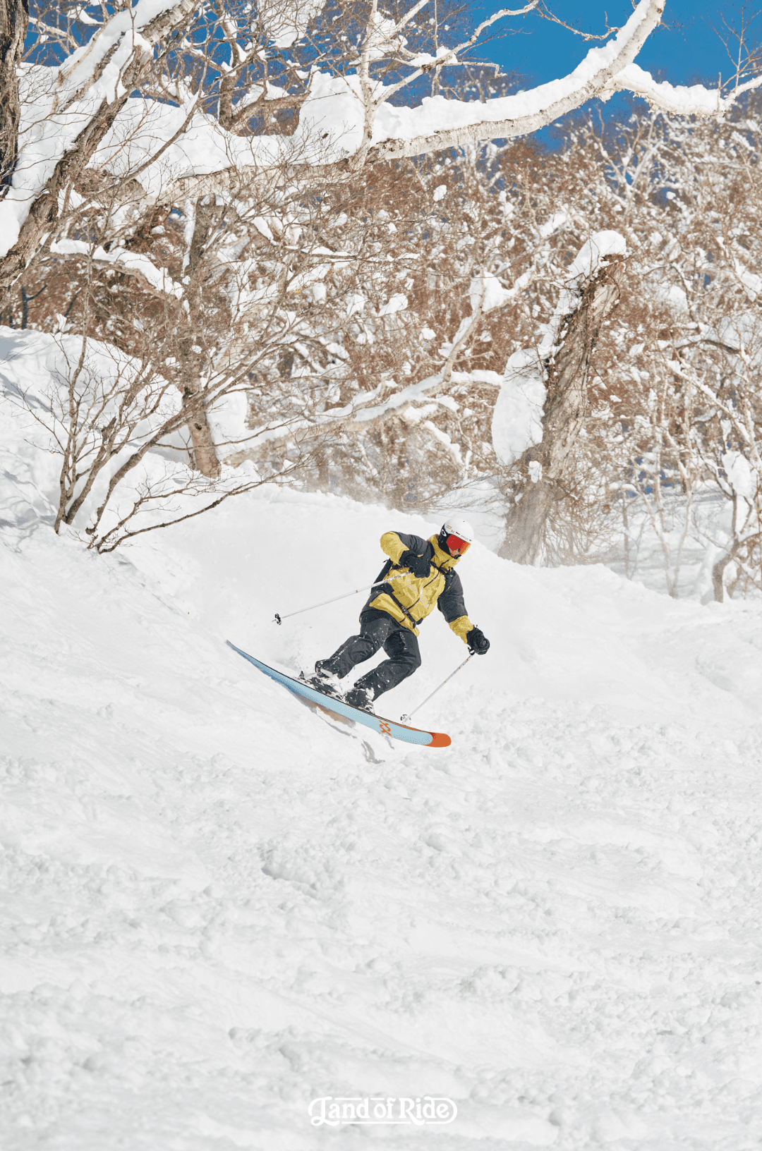 Niseko-ski-fun-yellow