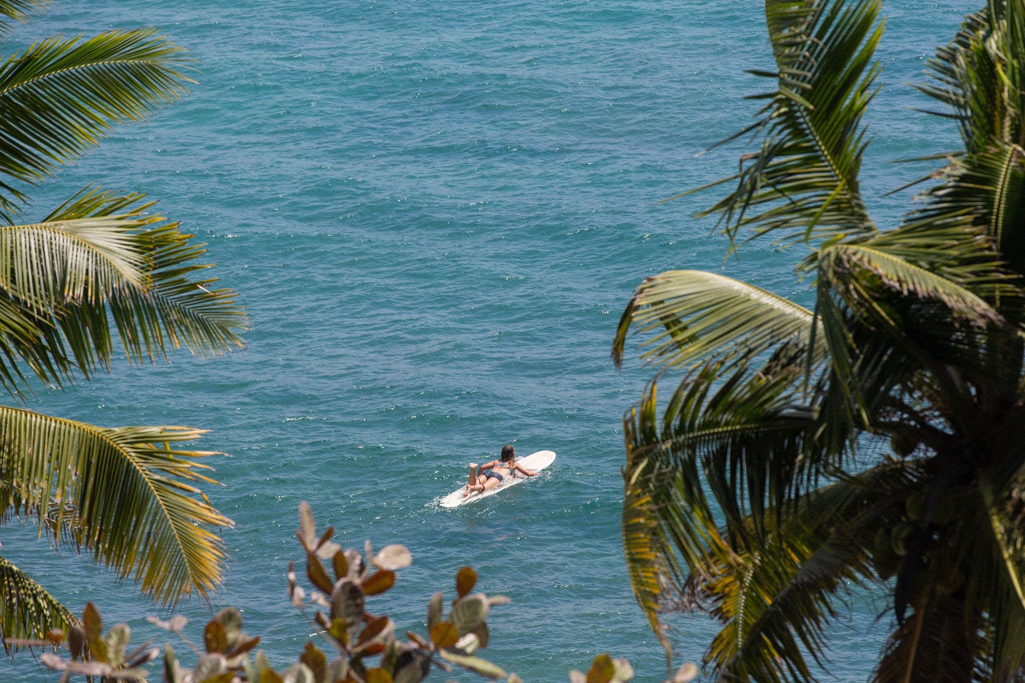 Girl Surfing Between Palms in the Maldives