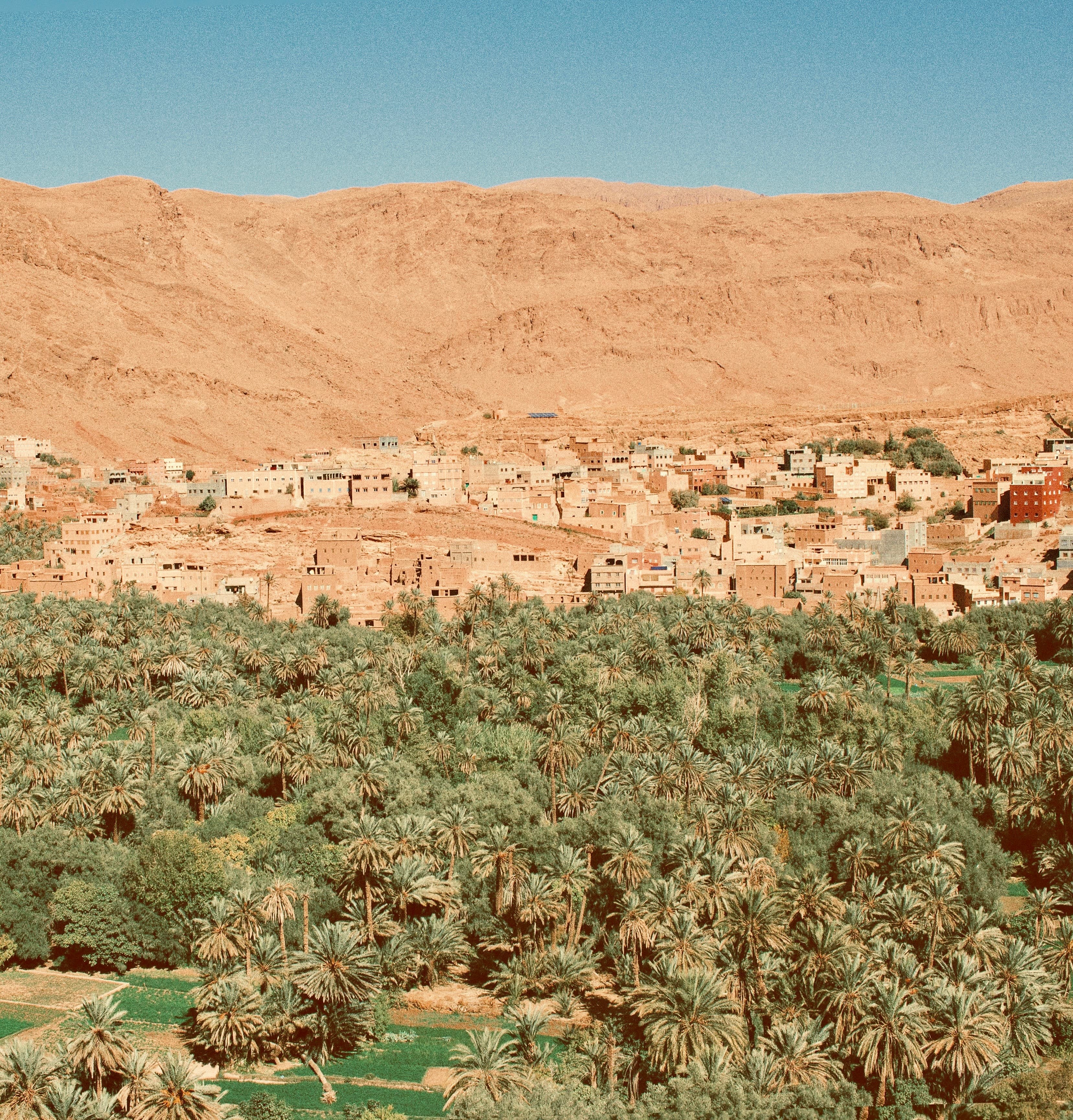 Boumalne-Dades-morocco-town-trip
