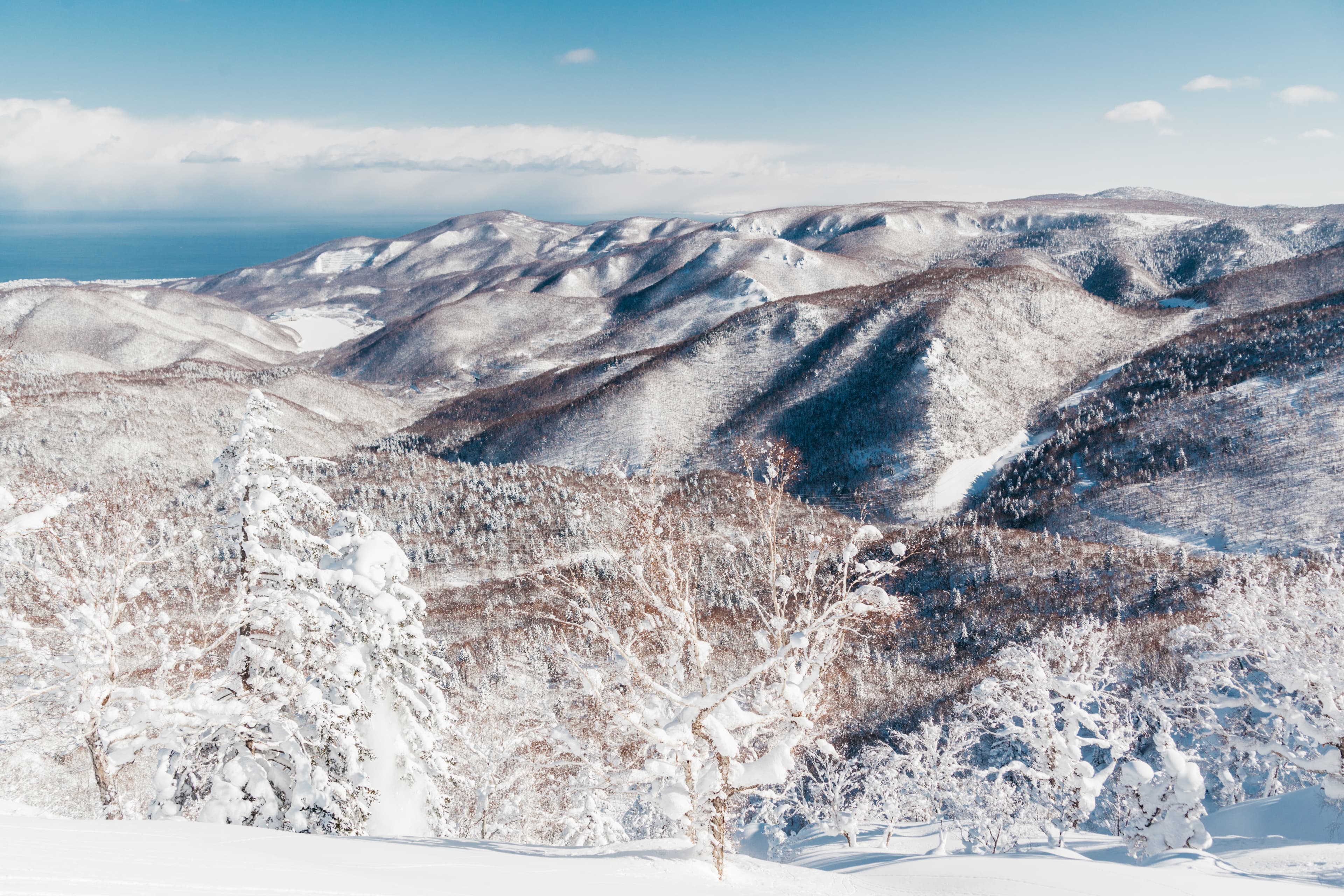 Mountains in Niseko covered in snow on a sunny day