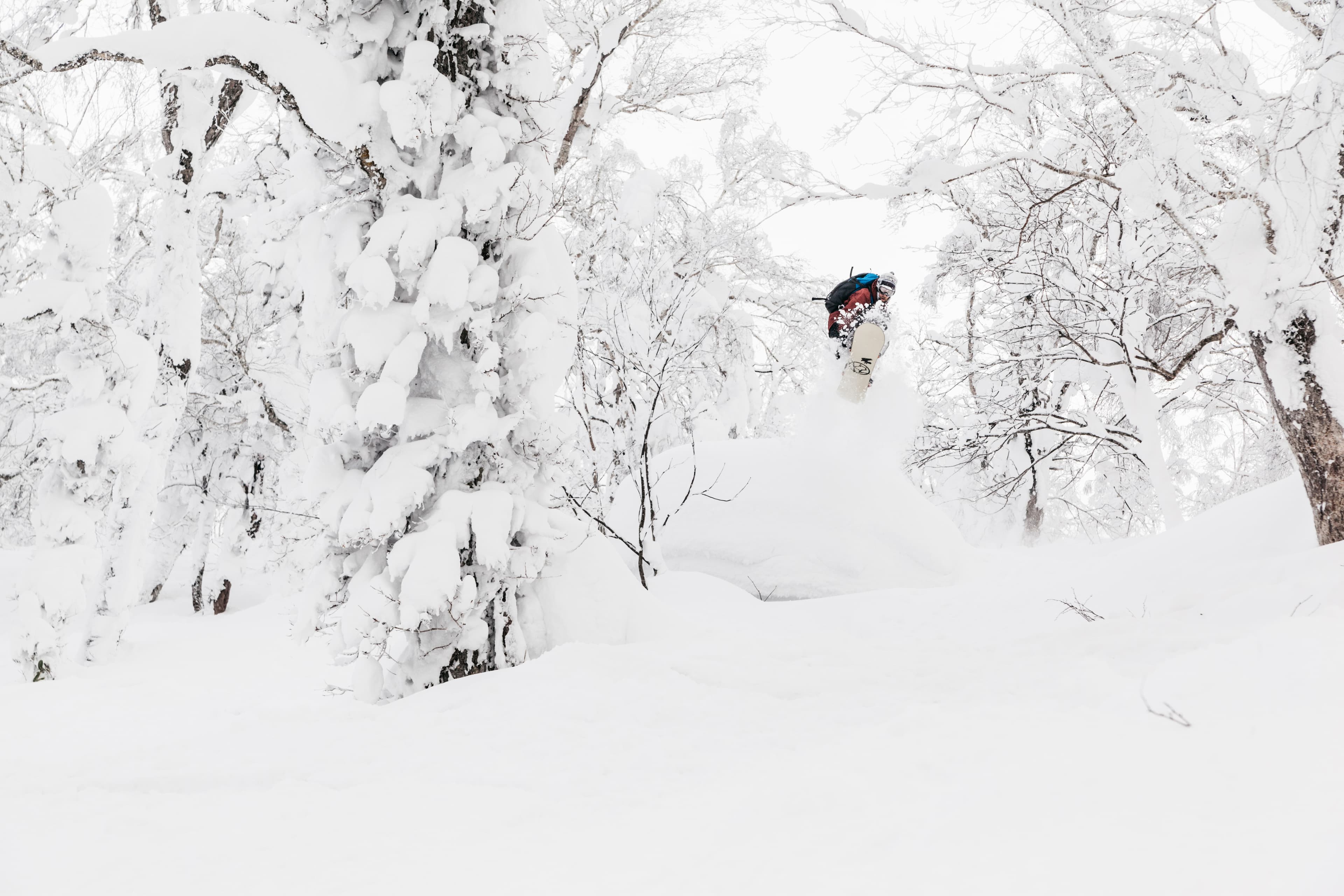 Snowboarder jumping trough forest covered in powder snow in Niskeo