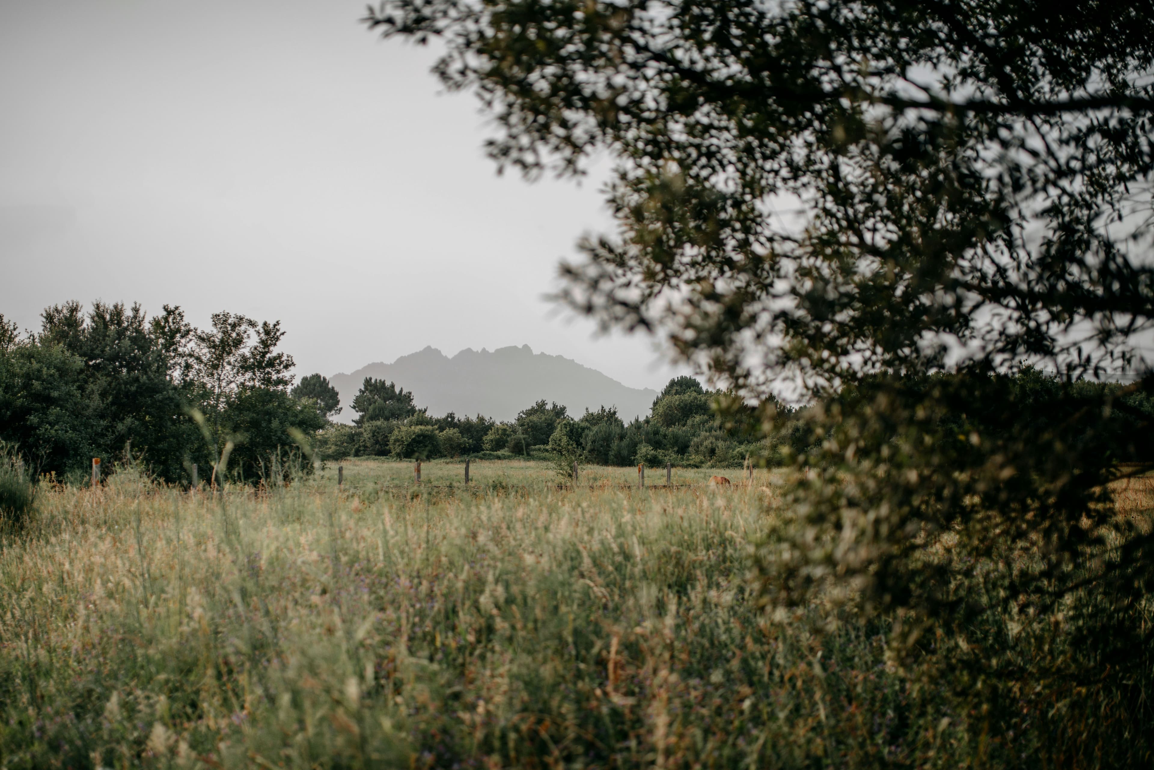 SantiagodeCompostela-trip